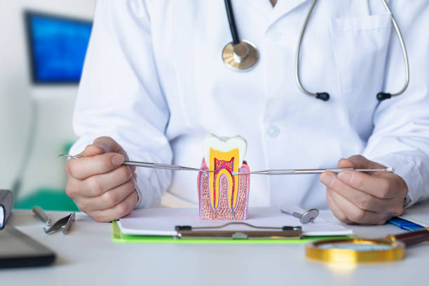 Best Walk-In Emergency Dental Services in Clendenin, WV